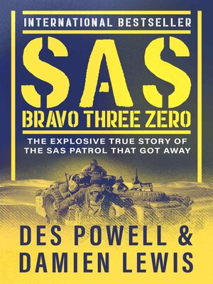 cover image of SAS Bravo Three Zero